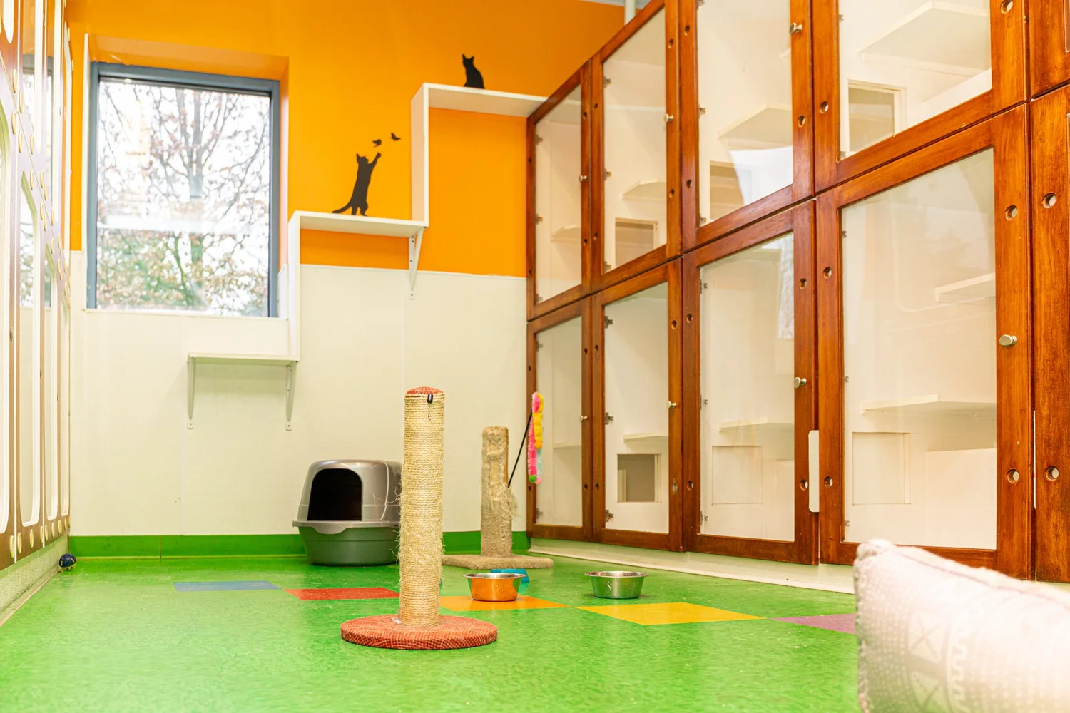 Nova Pets cat boarding room with private condos in Chantilly VA