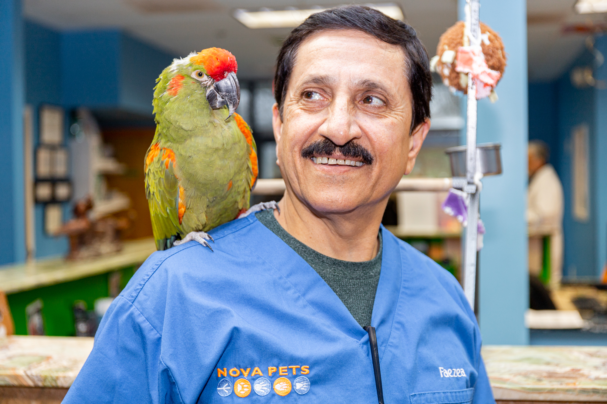 Nova Pets staff member Faezea with a parrot