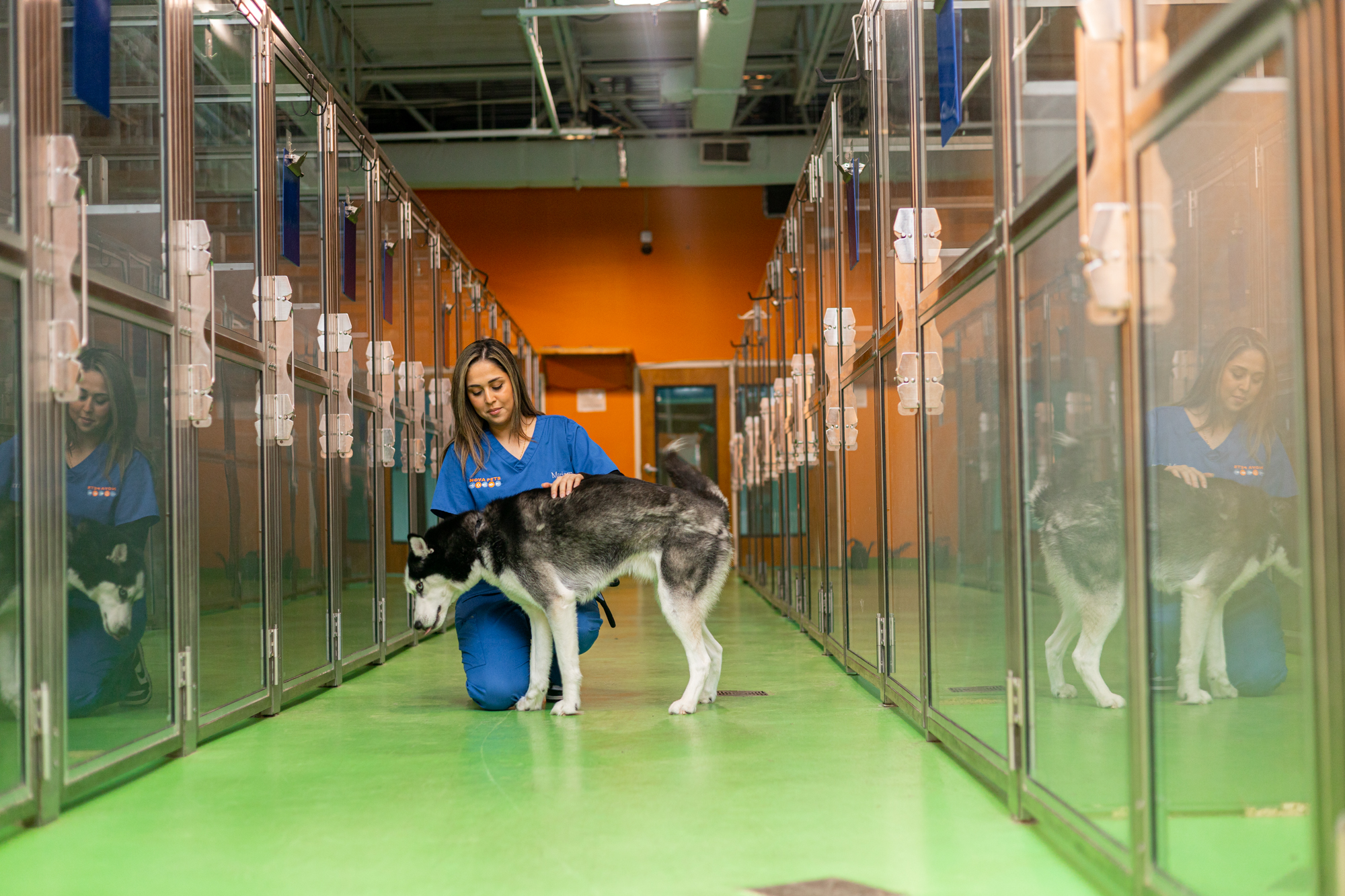Nova Pets dog boarding facility in Chantilly VA